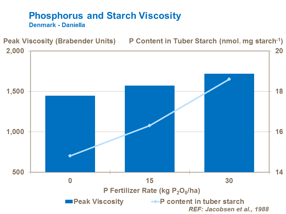 Phosphorus and starch viscosity in potatoes